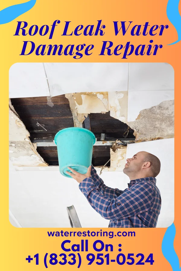 Roof Leak Water Damage Repair in Deweese, NE