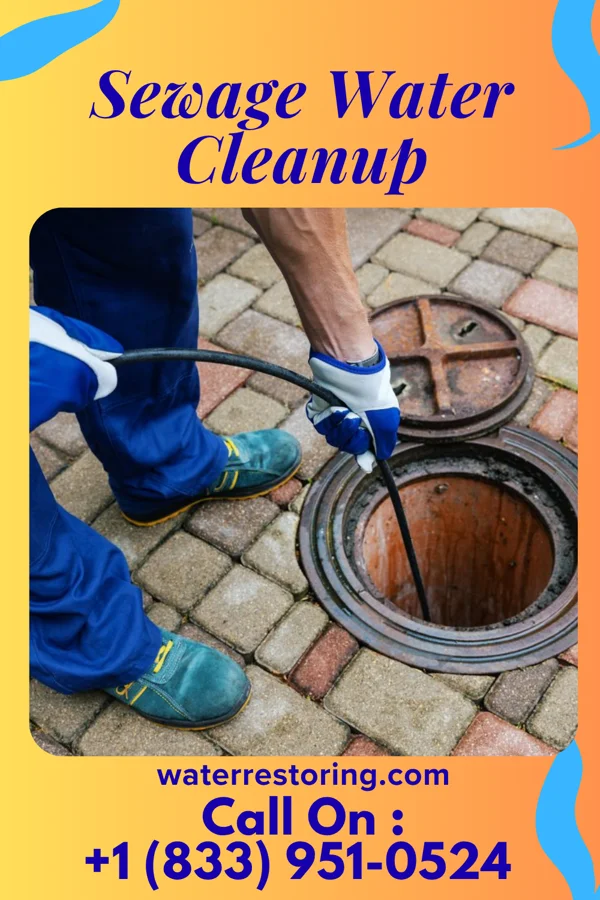 Sewage Water Cleanup in Deweese, NE
